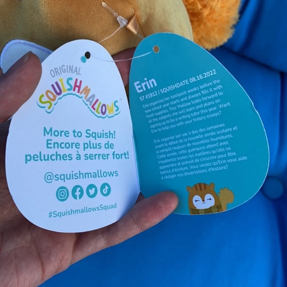 Original Squishmallows NamedErin Size7“Inch 2022 NWTS HarvestSquirrel Halloween - Picture 9 of 13